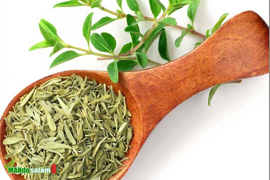 قیمت آویشن صادراتی با کیفیت ارزان + خرید عمده